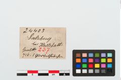 Etiketten zu Bronzegürtelhaken (NHMW-PRAE-024403)
